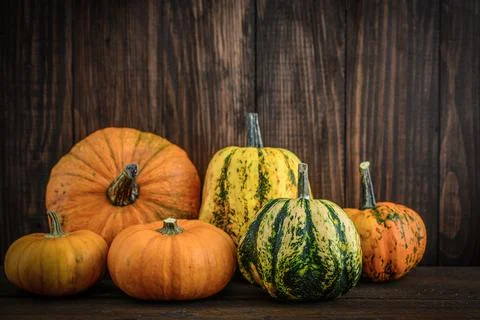 Pile of different raw pumpkins Stock Photos