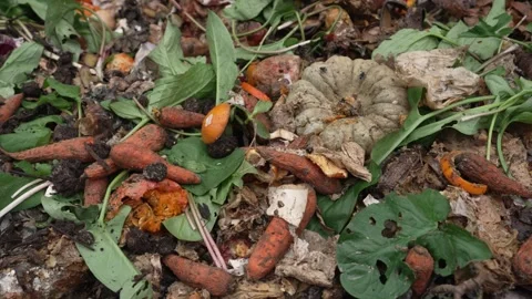 A pile of discarded leftovers in the garbage, highlighting the issue of food Stock Footage 312452018