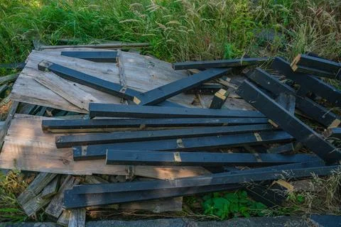 Pile of Discarded Painted Wooden Beams and Scrap Lumber in Overgrowth Stock-Fotos