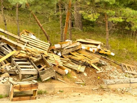 A pile of discarded pallets in the forest Stock Photos