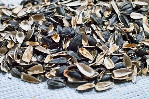 Pile of Discarded Sunflower Seed Shells Foto stock