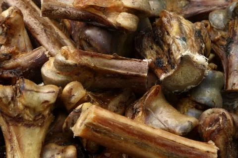 A pile of dog bones Stock Photos