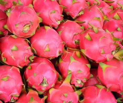 Pile dragon fruit texture background / dragon fruit for sale in the market Tr Stock Photos