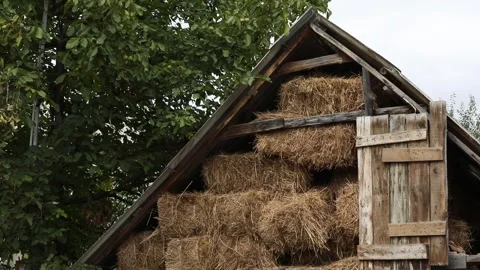 A pile of dried grass 1 Stock-Footage 325852333