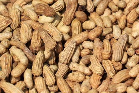 Pile of dried peanuts as background Stock Photos