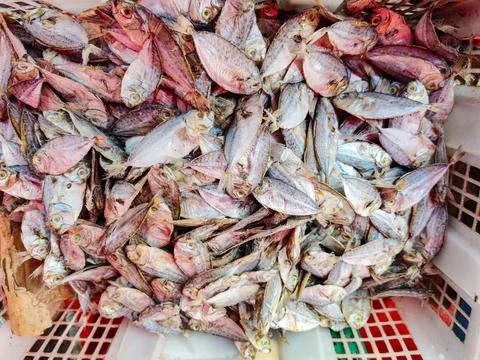 Pile of dried salted fish in a plastic basket at a traditional market. Stock Photos