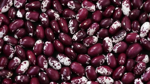 Pile of dry beans Stock Footage 152930154