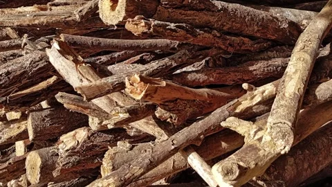 Pile of dry firewood from branches tree for house cooking, bonfire camping Stock Footage 302883996