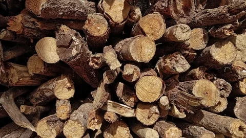 Pile of dry firewood from branches tree for house cooking, bonfire camping Stock Footage 302884991