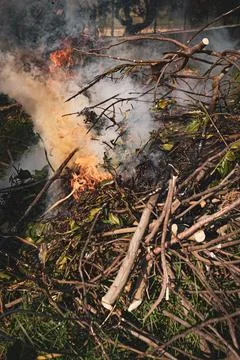 Pile of dry tree branches, fallen leaves and cut grass burning in campfire Stock Photos