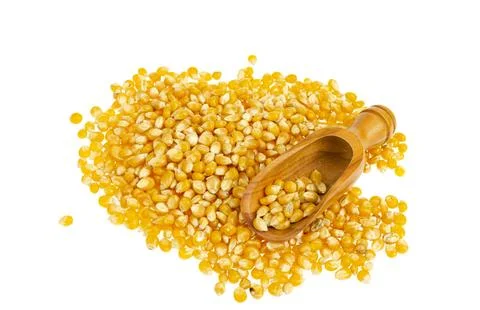 Pile of dry yellow corn kernels isolated on white background Stock Photos