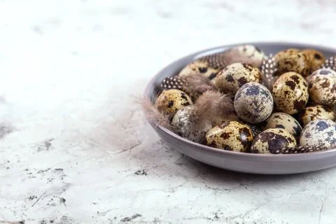 Pile of Easter quail eggs on gray fabric rag on concrete background Stock-Fotos