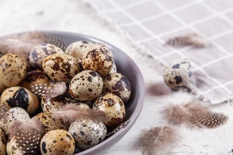 Pile of Easter quail eggs on gray fabric rag on concrete background Stock Photos