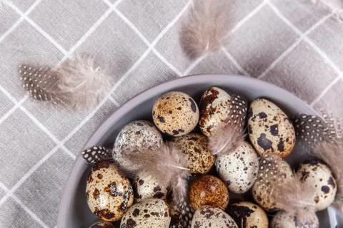 Pile of Easter quail eggs on gray fabric rag on concrete background Фото