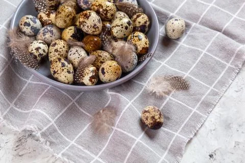 Pile of Easter quail eggs on gray fabric rag on concrete background Stock Photos