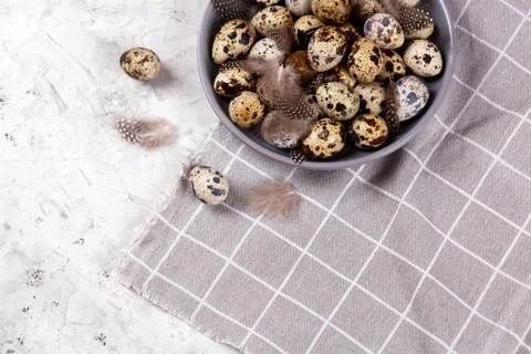 Pile of Easter quail eggs on gray fabric rag on concrete background Stock-Fotos