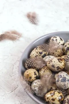 Pile of Easter quail eggs on gray fabric rag on concrete background Foto stock