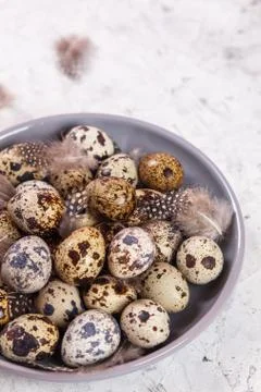 Pile of Easter quail eggs on gray fabric rag on concrete background Foto stock