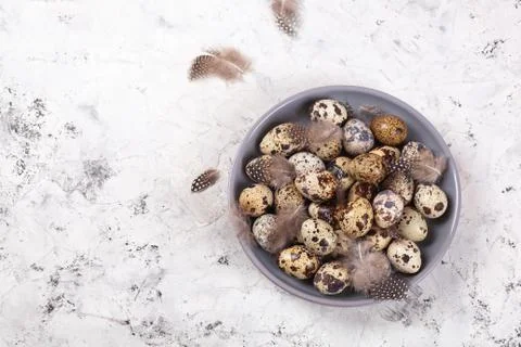 Pile of Easter quail eggs on gray fabric rag on concrete background Foto stock