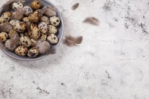 Pile of Easter quail eggs on gray fabric rag on concrete background Foto stock