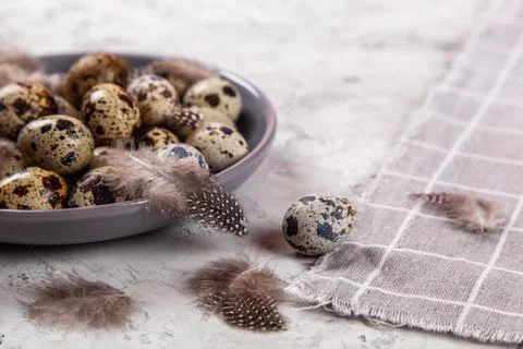 Pile of Easter quail eggs on gray fabric rag on concrete background Stock Photos