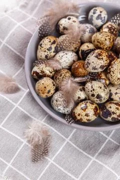 Pile of Easter quail eggs on gray fabric rag on concrete background Foto stock