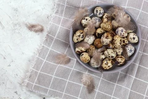 Pile of Easter quail eggs on gray fabric rag on concrete background Stock-Fotos