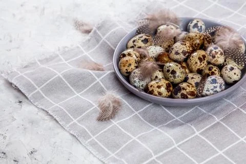 Pile of Easter quail eggs on gray fabric rag on concrete background Stock Photos