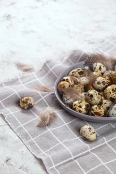 Pile of Easter quail eggs on gray fabric rag on concrete background Stock Photos