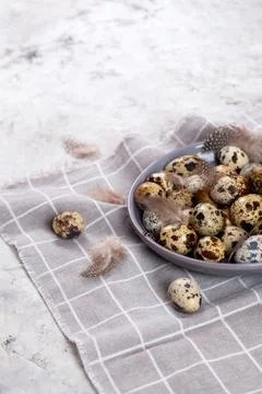 Pile of Easter quail eggs on gray fabric rag on concrete background Foto stock
