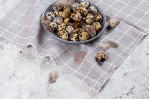 Pile of Easter quail eggs on gray fabric rag on concrete background Foto stock