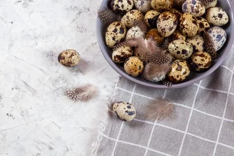 Pile of Easter quail eggs on gray fabric rag on concrete background Stock Photos