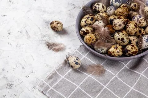 Pile of Easter quail eggs on gray fabric rag on concrete background Stock-Fotos