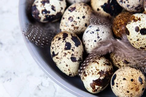 Pile of Easter quail eggs on gray fabric rag on concrete background Foto stock