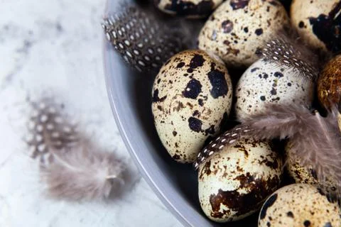 Pile of Easter quail eggs on gray fabric rag on concrete background Stock Photos
