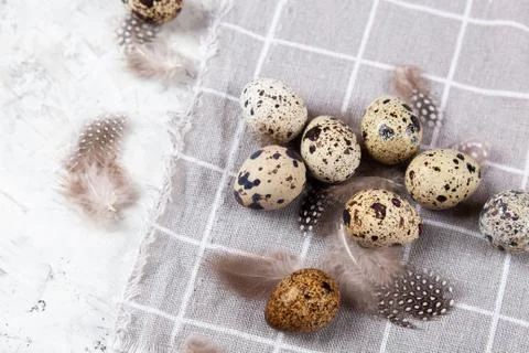 Pile of Easter quail eggs on gray fabric rag on concrete background Stock-Fotos