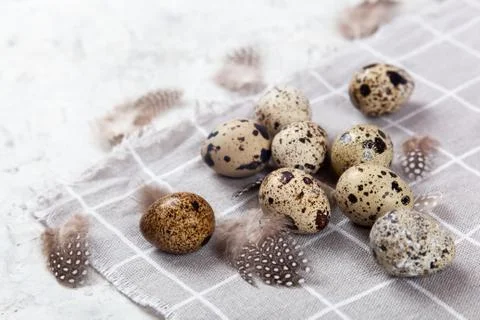 Pile of Easter quail eggs on gray fabric rag on concrete background Stock-Fotos