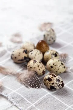 Pile of Easter quail eggs on gray fabric rag on concrete background Stock-Fotos