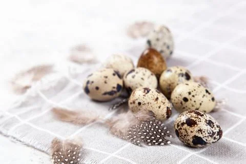 Pile of Easter quail eggs on gray fabric rag on concrete background Foto stock
