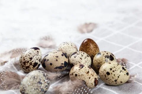 Pile of Easter quail eggs on gray fabric rag on concrete background 스톡 사진
