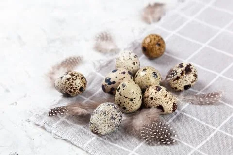 Pile of Easter quail eggs on gray fabric rag on concrete background Stock-Fotos