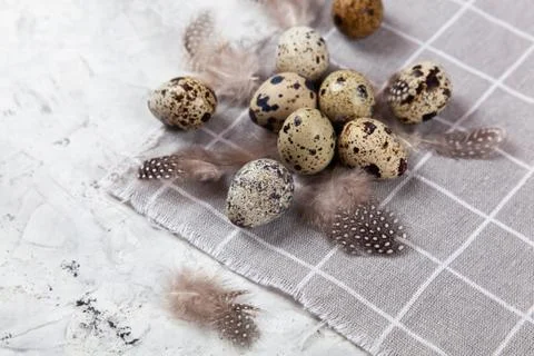 Pile of Easter quail eggs on gray fabric rag on concrete background Foto stock