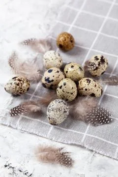 Pile of Easter quail eggs on gray fabric rag on concrete background 스톡 사진