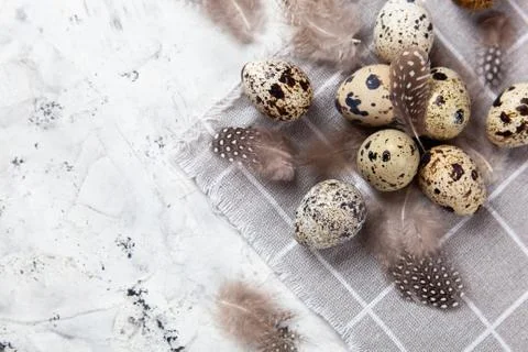 Pile of Easter quail eggs on gray fabric rag on concrete background Stock Photos