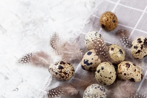 Pile of Easter quail eggs on gray fabric rag on concrete background Foto stock