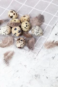Pile of Easter quail eggs on gray fabric rag on concrete background Foto stock