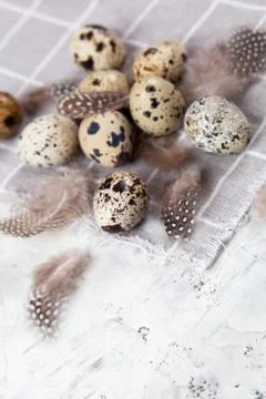 Pile of Easter quail eggs on gray fabric rag on concrete background 스톡 사진