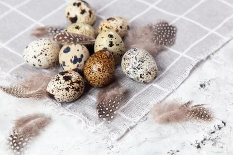 Pile of Easter quail eggs on gray fabric rag on concrete background Foto stock