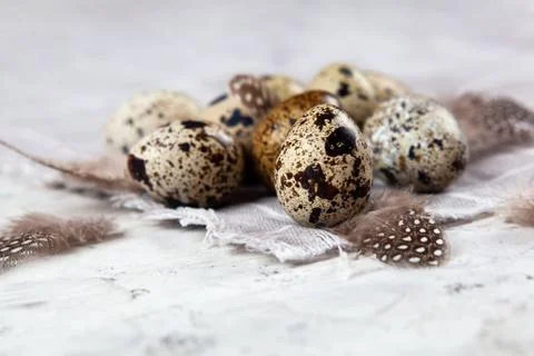 Pile of Easter quail eggs on gray fabric rag on concrete background Foto stock