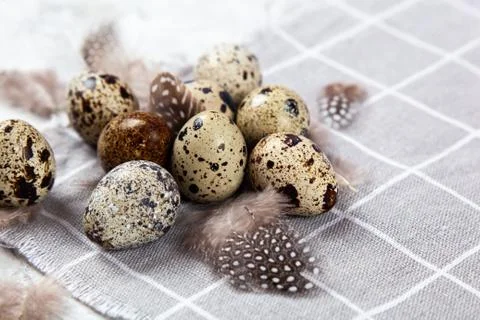 Pile of Easter quail eggs on gray fabric rag on concrete background Foto stock